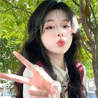 房子与狗